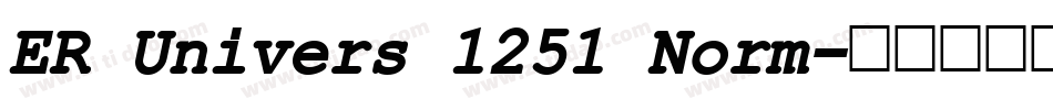 ER Univers 1251 Norm字体转换